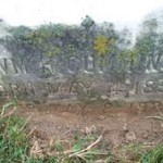 Tombstone William Harvey Cummins JR
